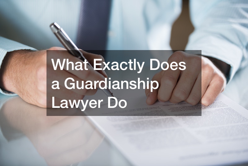 What Exactly Does a Guardianship Lawyer Do Court Video